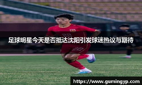 足球明星今天是否抵达沈阳引发球迷热议与期待